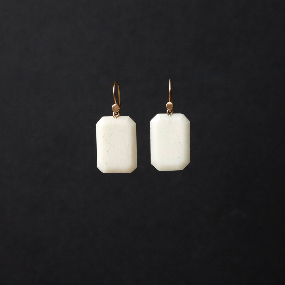 Bone Panel Earrings